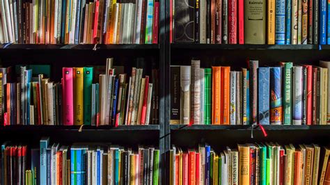 Digitales Wörterbuch der deutschen Sprache – Wikipedia.